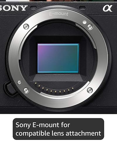 Amazon.com : Sony ILCE6600/B Alpha A6600 Mirrorless Camera, Black